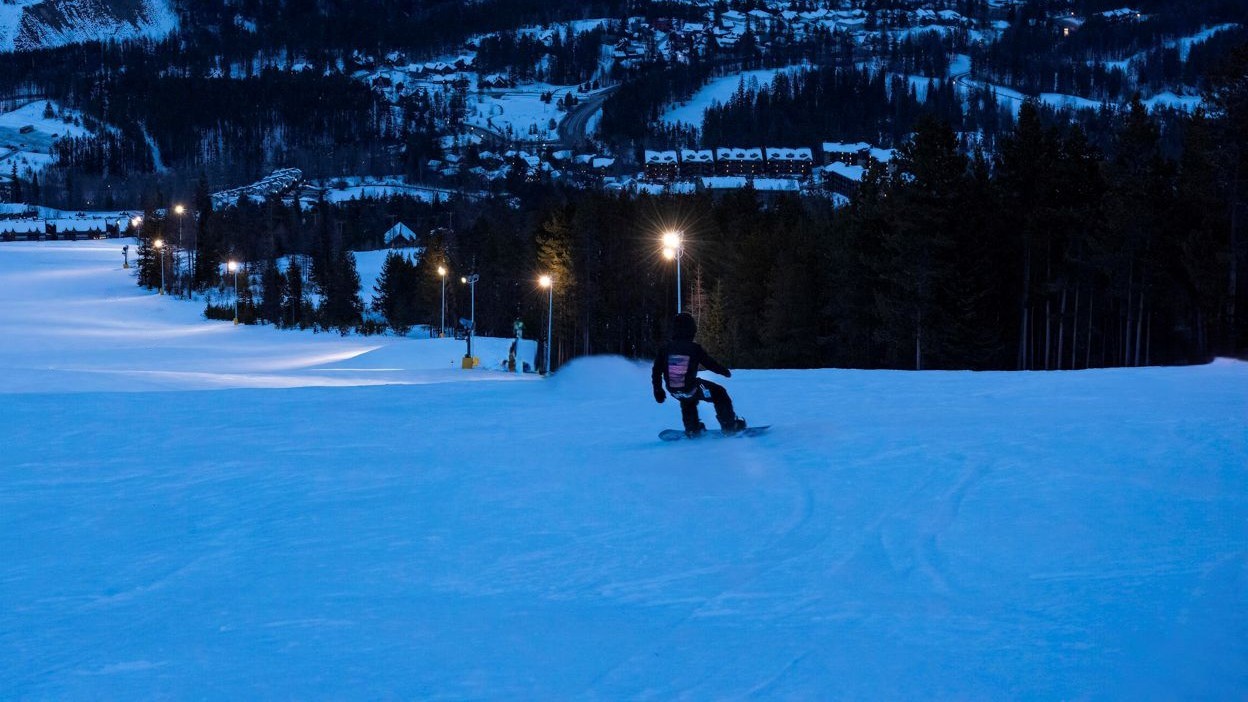 Kimberley Tiger Night Owls - Snowboard (Age 3-5)