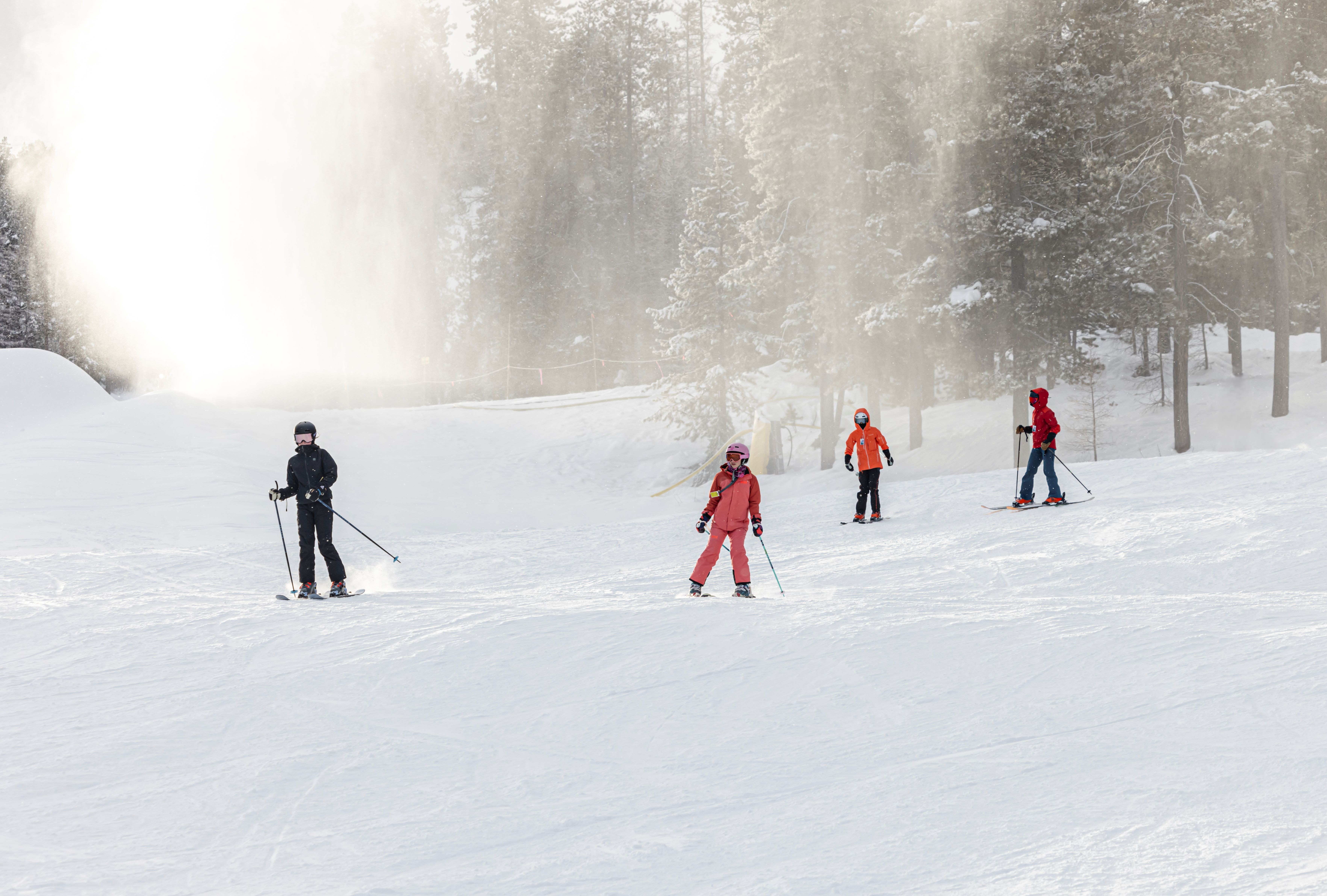 Teen Group Half Day Ski Lesson (Age 13-17)