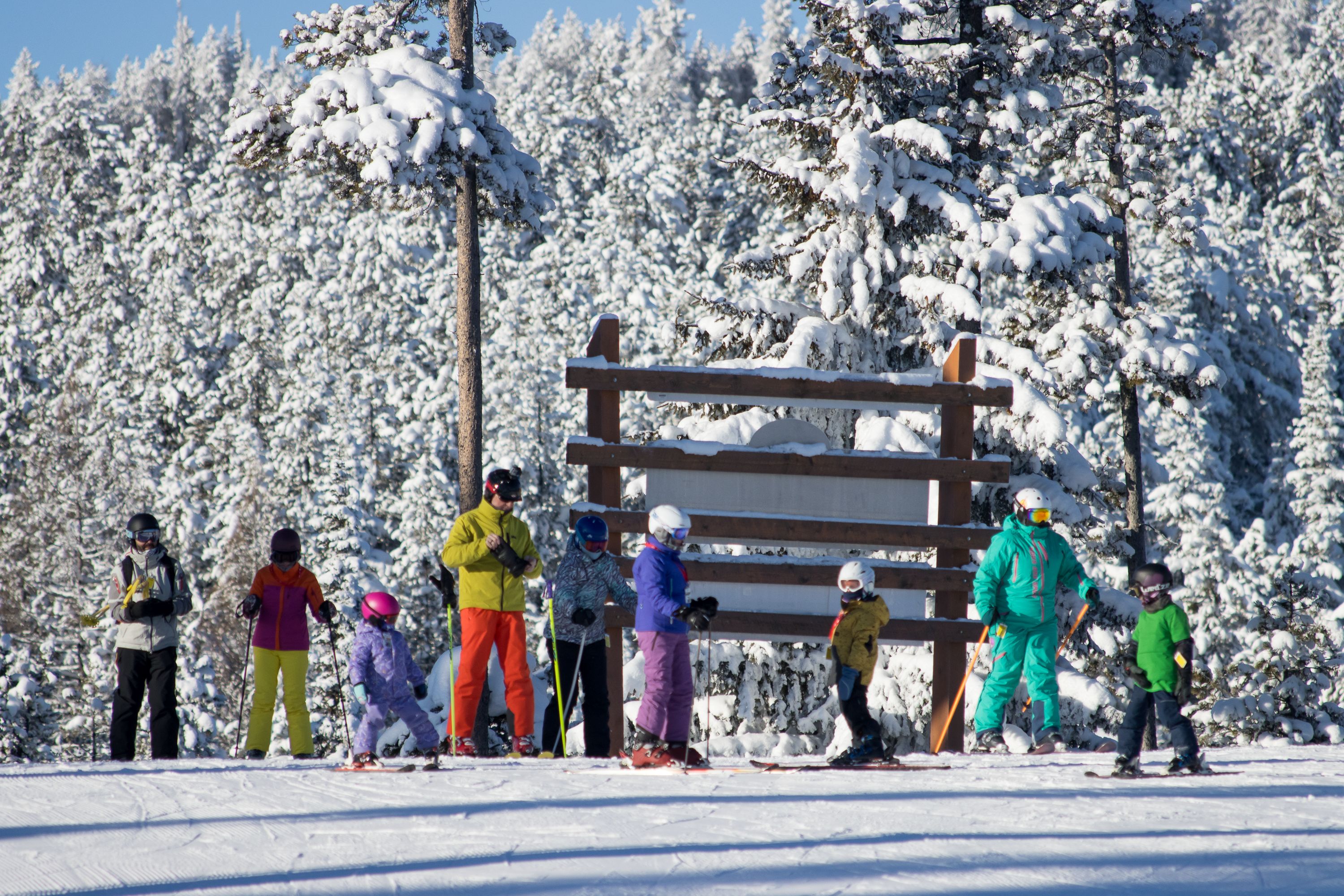 Family Private Half Day Ski Lesson