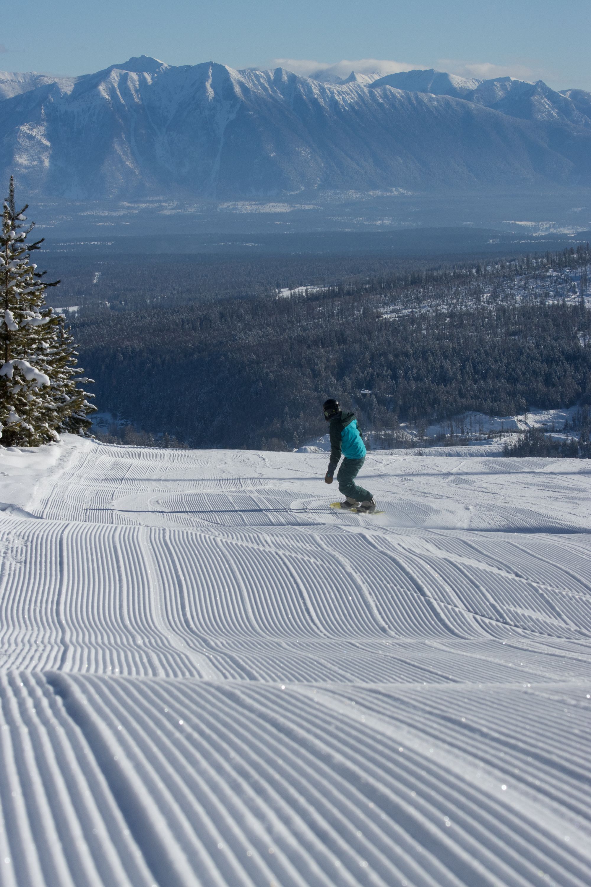 TELUS Learn to Snowboard Group Half Day Lesson (Age 5-12)